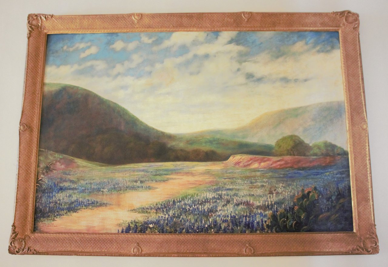 Blue Bonnets